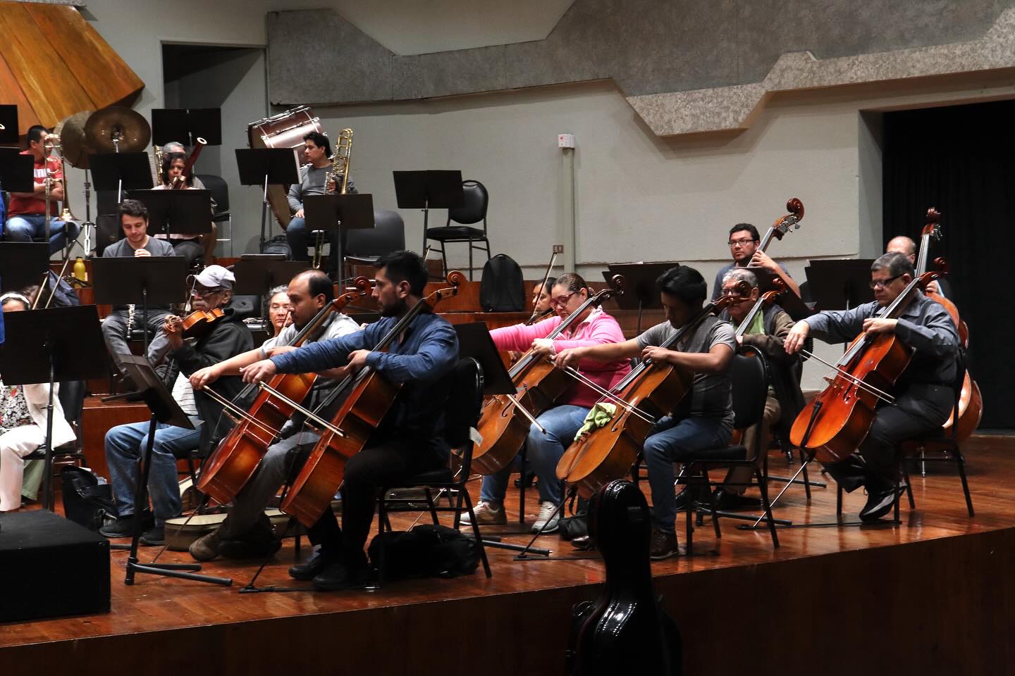Sección de instrumentos de cuerda