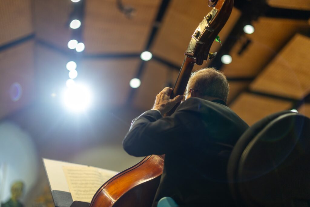 Músico durante una interpretación orquestal